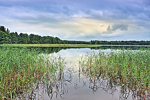 湖,国家公园,立陶宛,欧洲