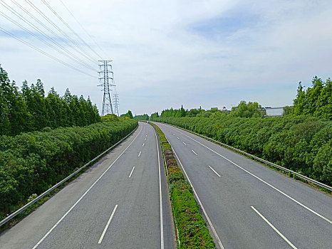 道路绿化,高速公路