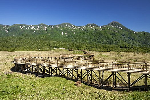 知床五湖,木板路