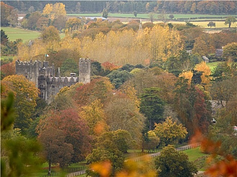 爱尔兰,城堡,树林,秋天