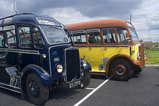 英格兰,萨里,历史,巴士,20世纪50年代,20世纪60年代,展示,周年纪念,白天