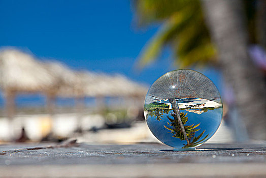 加勒比,古巴,圣马利亚,海滩,棕榈树,玻璃球