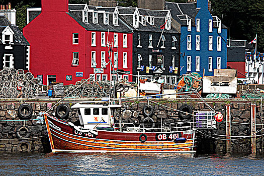 苏格兰,茂尔岛,渔船,彩色,水岸,房子,港口