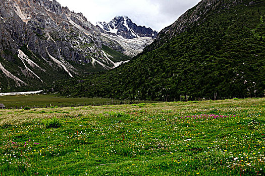 雀儿山风光