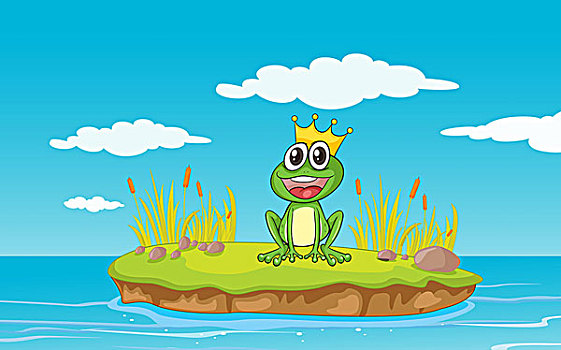 青蛙,水