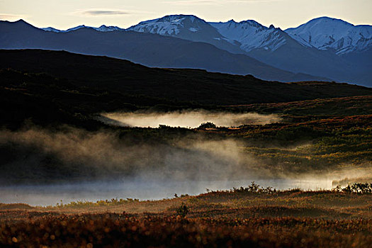 蒸汽,上升,海狸,水塘,寒冷,空气,早晨,德纳里峰国家公园,阿拉斯加