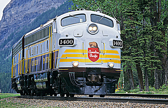 历史,列车,拉拽,土地,不列颠哥伦比亚省,加拿大