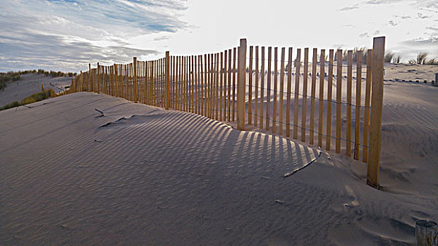 沙丘,木篱,大西洋,海洋,法国