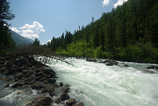 山,河,水流,峡谷,石头,岩石,陆地,靠近,漂亮,山景