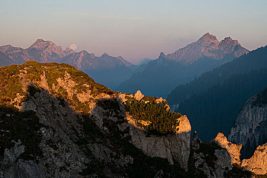 清晨,阿尔卑斯山,上巴伐利亚,巴伐利亚,德国