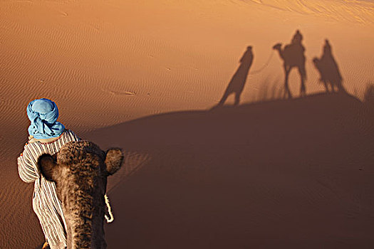 非洲,北非,摩洛哥,撒哈拉沙漠,梅如卡,却比沙丘,部落男人,骆驼,影子,沙子