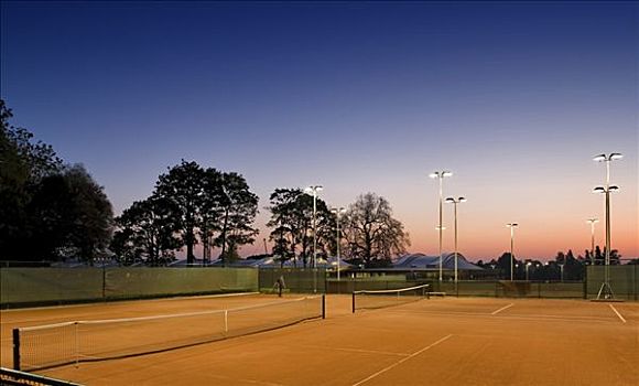 国家网球中心,草地,网球,联系,总部,网球场,黄昏,展示