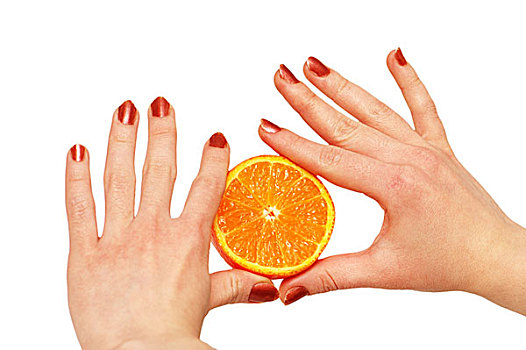 两只,手,拿着,橙子,隔绝,白色背景