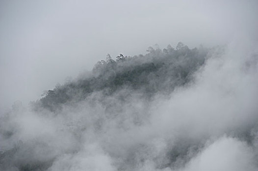 雾,上方,山,普那卡,山谷,地区,不丹