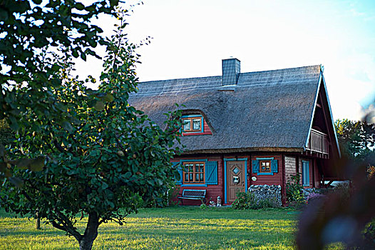 茅草屋顶,房子,蓝色,百叶窗,乌瑟多姆岛,梅克伦堡州