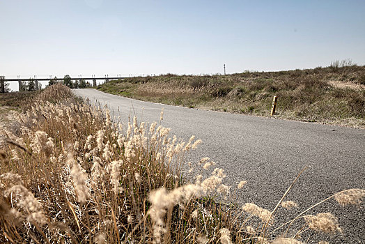 盘山公路