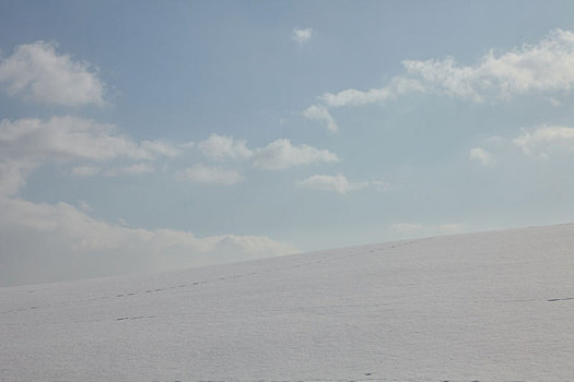 日本北海道