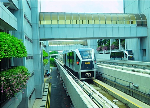 机场,高架列车,新加坡