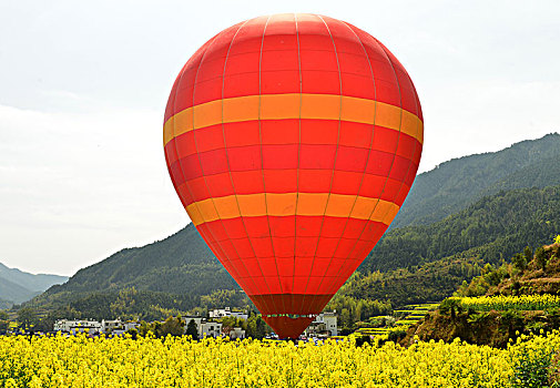 花海,热汽球,山村