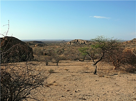 纳米比亚