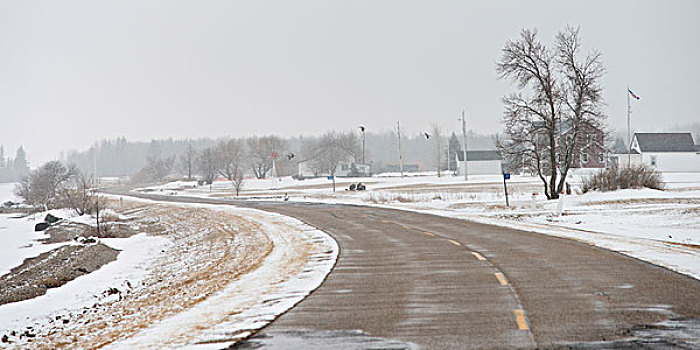 道路,通过,积雪,风景,赫克拉火山磨石省立公园,曼尼托巴,加拿大