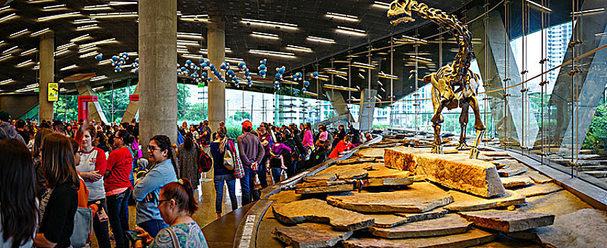 达拉斯,佩洛特自然科学博物馆,perot,museum,of,nature,and,science