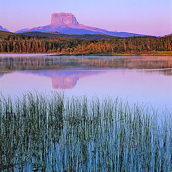 反射,山,水中,首领,瓦特顿湖国家公园,艾伯塔省,加拿大