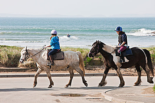 马,骑手,彭布鲁克郡,海岸,小路,威尔士,英国