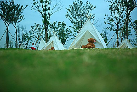 草地,帐篷,家,小熊