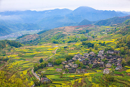 梯田,山村,春意