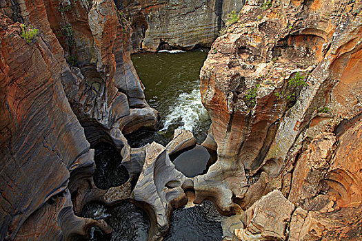 幸运,布莱德河峡谷,自然保护区,靠近,普玛兰加省,南非