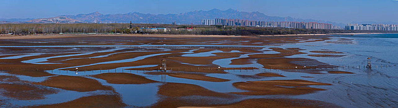 海鸥,候鸟,集中,大量,密集,成群结队,庞大,迁徙,北戴河,湿地,栖息,密密麻麻,保护,沙滩,海滩,背景,轮廓,线条