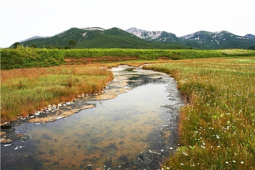 溪流,堪察加半岛