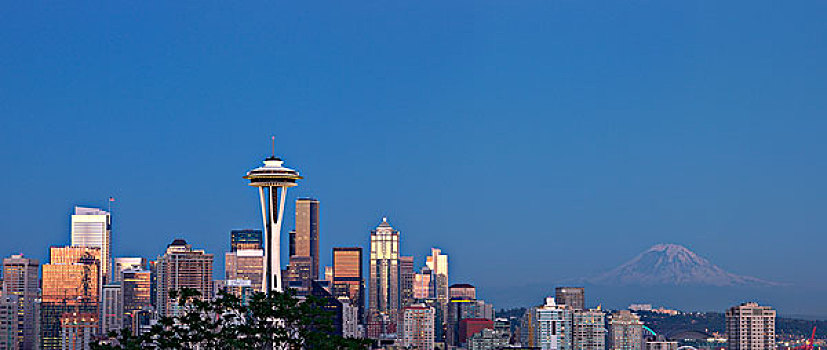 西雅图,天际线,风景,公园,雷尼尔山,大幅,尺寸