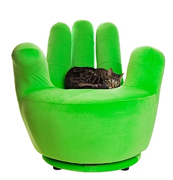 绿色,椅子
