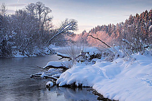 冬天,早晨,伊萨河,河,上巴伐利亚,巴伐利亚,德国,欧洲
