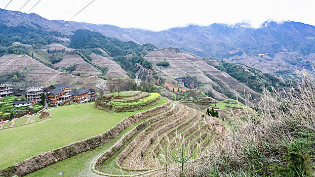 风景,梯田,乡村