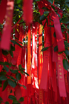 云南西双版纳景洪市勐泐文化旅游区大佛寺的祈福带