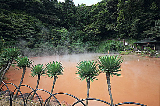 日本九州大分县血池地狱,chinoikejigokubloodpondhell