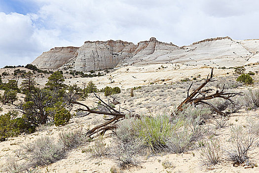 荒漠景观,大阶梯-埃斯卡兰特国家保护区,犹他,美国