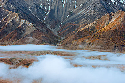 苔原,雾,德纳里峰国家公园,阿拉斯加