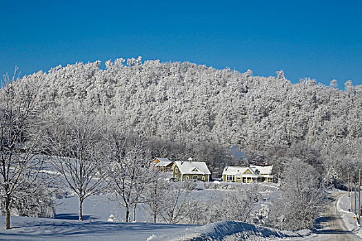 房子,积雪,铁,山,魁北克,加拿大
