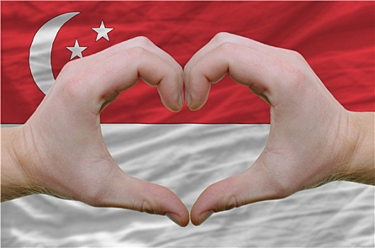 心形,喜爱,手势,展示,上方,旗帜,新加坡