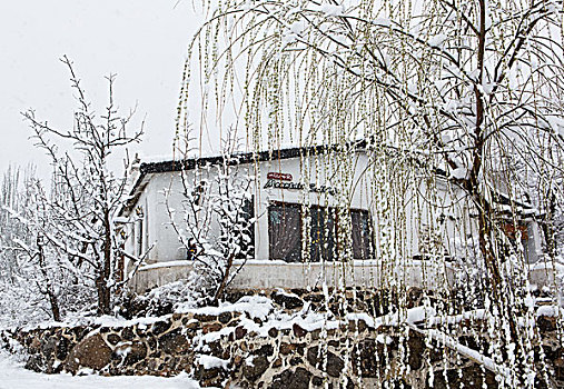 贺兰山雪景