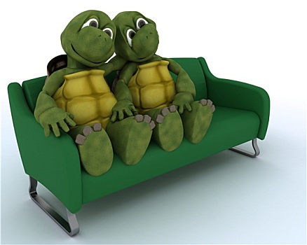 龟,沙发