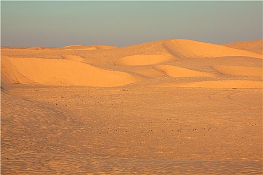 突尼斯,撒哈拉沙漠,靠近,杜兹