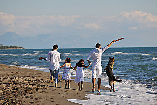 高兴,年轻家庭,白人,衣服,开心,玩,美女,狗,假期,海滩