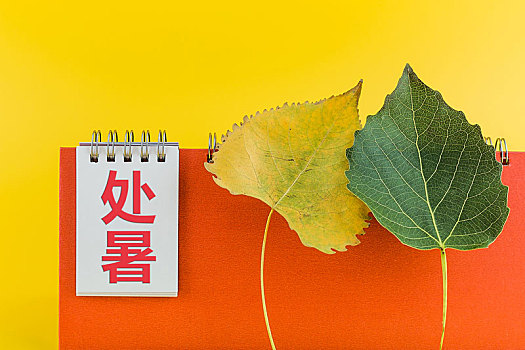 日历和树叶,二十四节气处暑节气图片