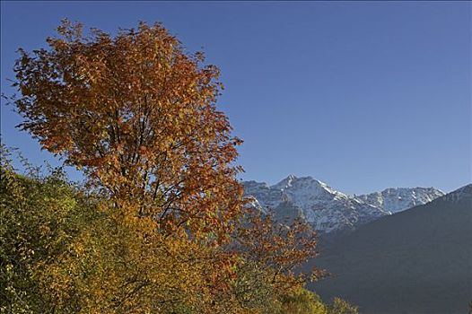 山峦,山脉,维诺斯塔,南蒂罗尔,意大利