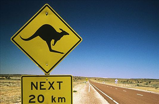 袋鼠,路标,旁侧,公路,澳大利亚